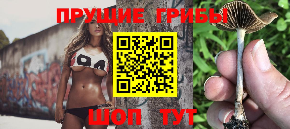 Псилоцибиновые грибы Magic Shrooms Махачкала