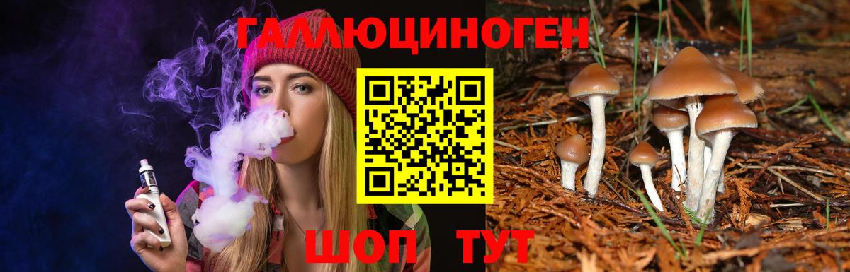 Махачкала  Псилоцибиновые грибы ЛСД  Вход с VPN  Галлюциногенные грибы мухоморы 